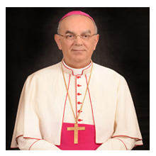Bishop Camillo Ballin, MCCI